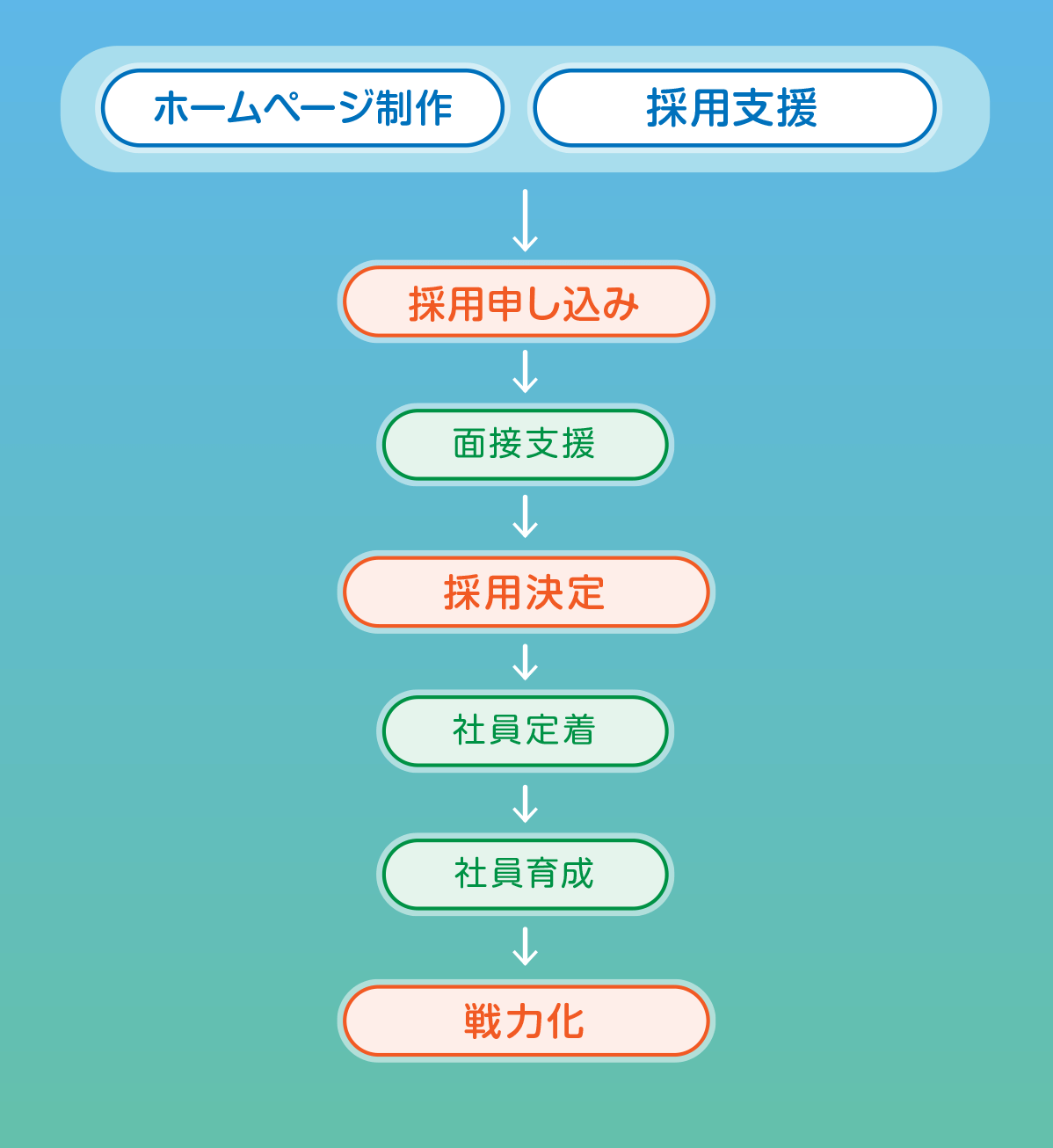 フォスターの採用育成支援の流れ